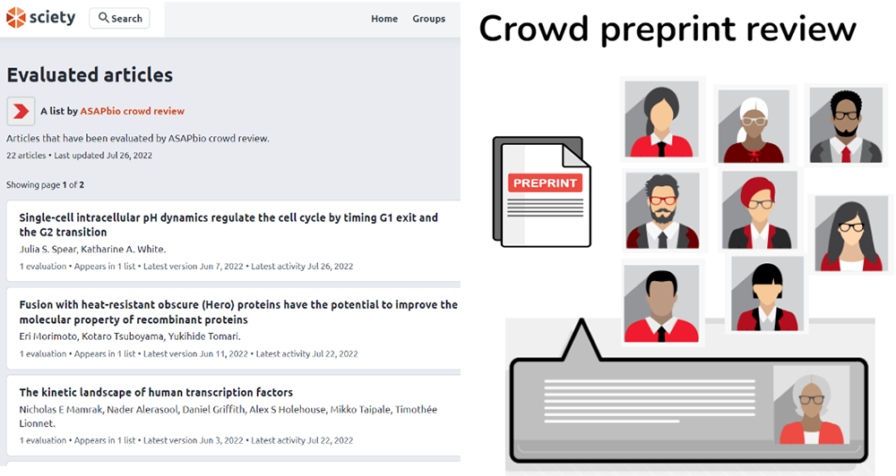 Crowd preprint review