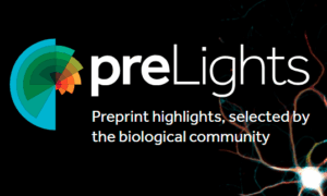 Logo de preLights