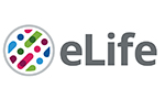 eLife concluye las decisiones de aceptación/rechazo después de la revisión por pares [Publicado originalmente en eLife en octubre/2022]