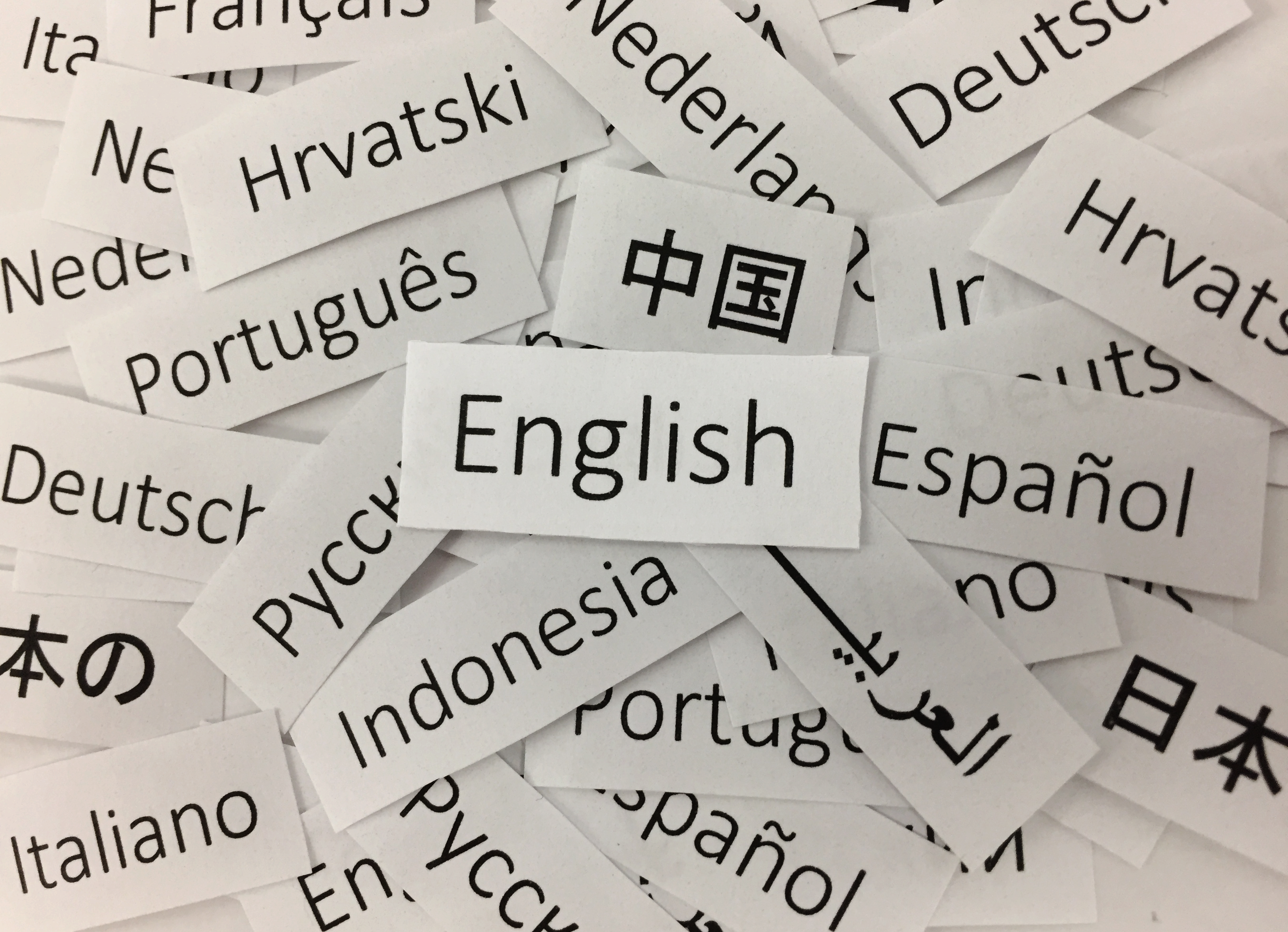 Centro de Escrita seleciona artigos para tradução ou revisão em inglês - O  Perobal