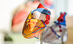 COVID-19: Dados Atualizados e sua Relação Com o Sistema Cardiovascular [Originalmente publicado nos Arq. Bras. Cardiol.]