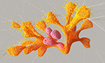 Imagem de uma formação laranja e cor-de-rosa em formato semelhante a um coral, gerada pelo Google DeepMind